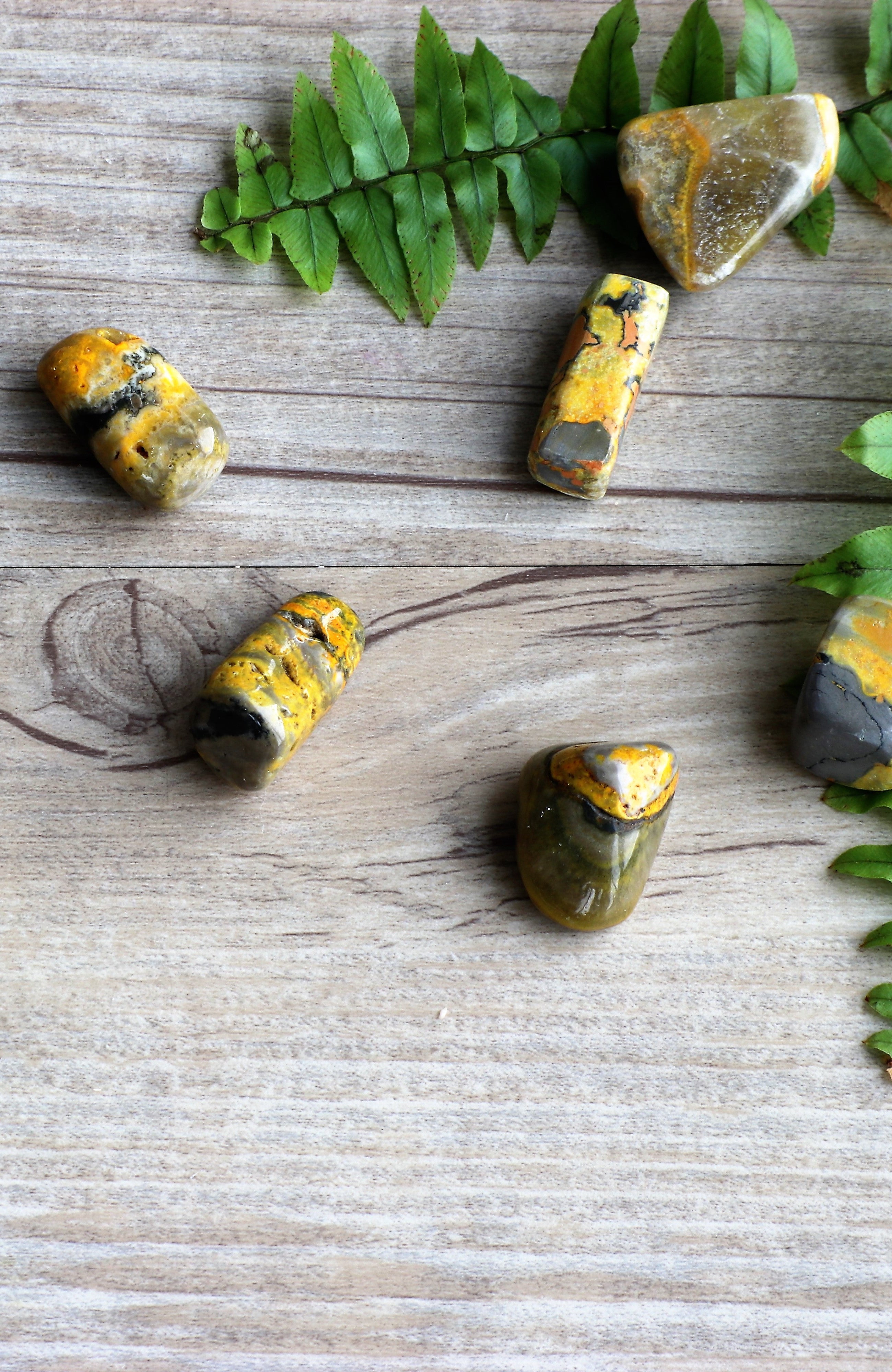 Bumble Bee Jasper Tumbled Stone